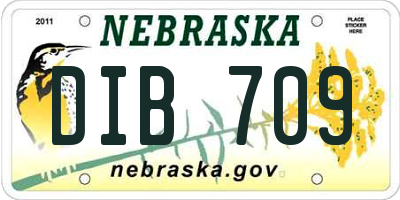 NE license plate DIB709