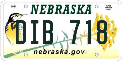 NE license plate DIB718