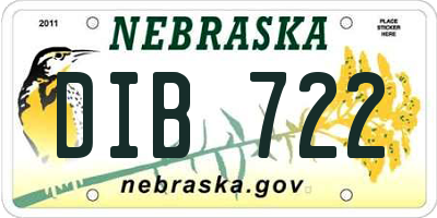 NE license plate DIB722