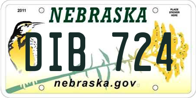 NE license plate DIB724