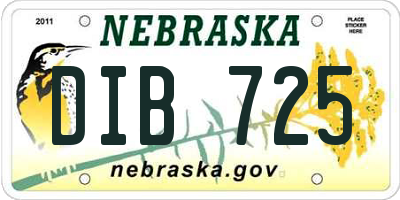 NE license plate DIB725
