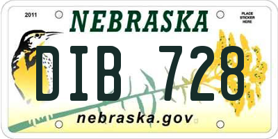 NE license plate DIB728