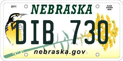NE license plate DIB730