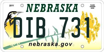 NE license plate DIB731