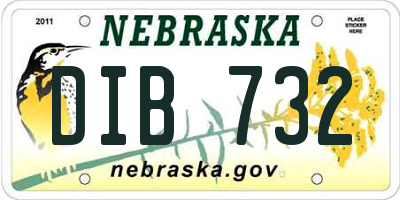 NE license plate DIB732