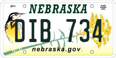 NE license plate DIB734