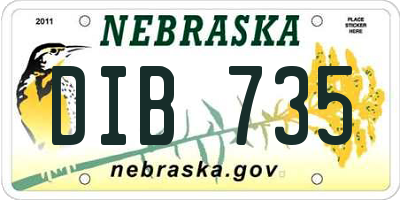 NE license plate DIB735