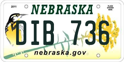 NE license plate DIB736