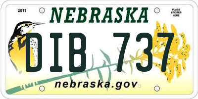 NE license plate DIB737