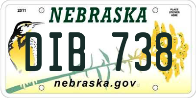 NE license plate DIB738
