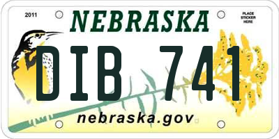 NE license plate DIB741