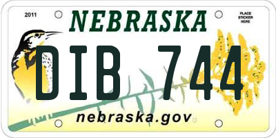 NE license plate DIB744