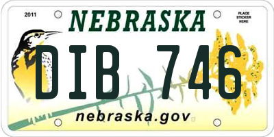 NE license plate DIB746