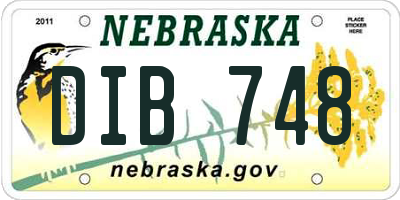 NE license plate DIB748