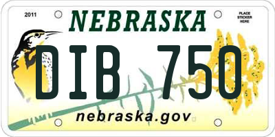 NE license plate DIB750