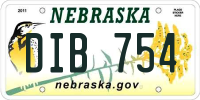 NE license plate DIB754
