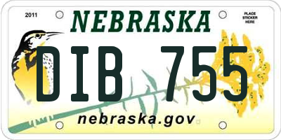 NE license plate DIB755