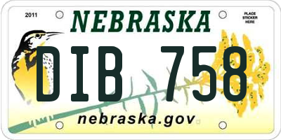NE license plate DIB758