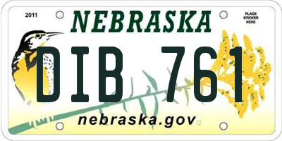 NE license plate DIB761