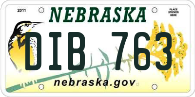 NE license plate DIB763