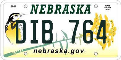 NE license plate DIB764