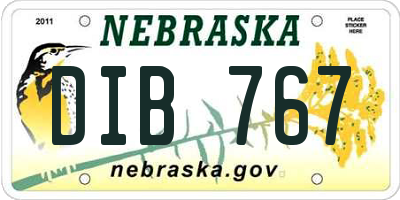 NE license plate DIB767