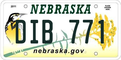 NE license plate DIB771