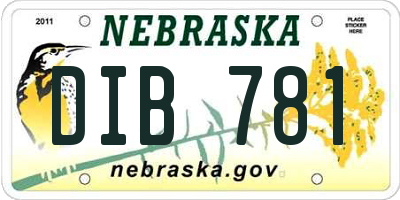 NE license plate DIB781