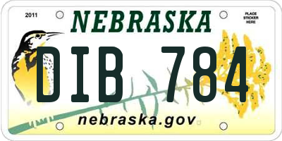 NE license plate DIB784