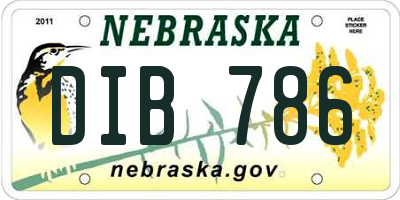 NE license plate DIB786