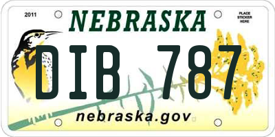 NE license plate DIB787