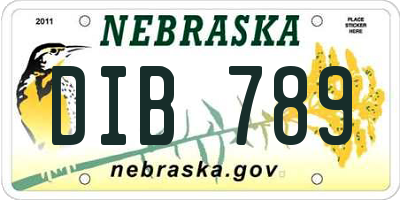 NE license plate DIB789