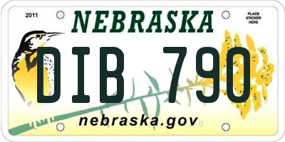 NE license plate DIB790
