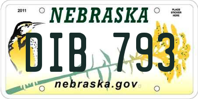 NE license plate DIB793
