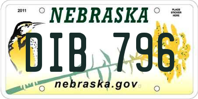 NE license plate DIB796
