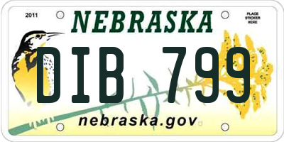 NE license plate DIB799