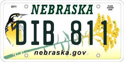 NE license plate DIB811