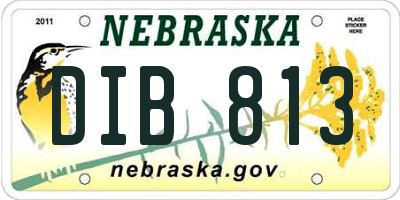 NE license plate DIB813