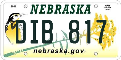 NE license plate DIB817