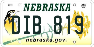 NE license plate DIB819