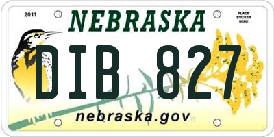 NE license plate DIB827