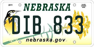 NE license plate DIB833