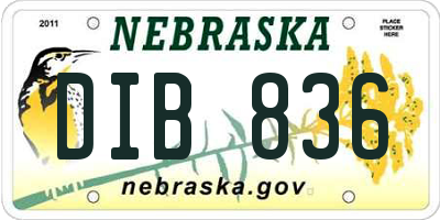 NE license plate DIB836