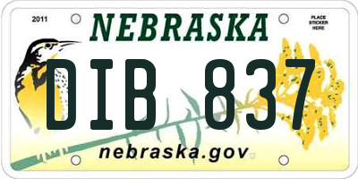 NE license plate DIB837