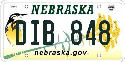 NE license plate DIB848