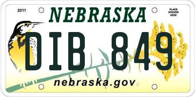 NE license plate DIB849