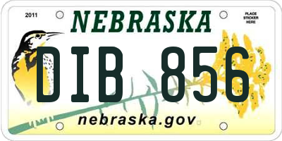 NE license plate DIB856