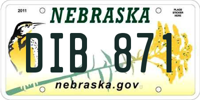 NE license plate DIB871