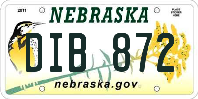 NE license plate DIB872