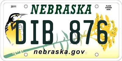 NE license plate DIB876
